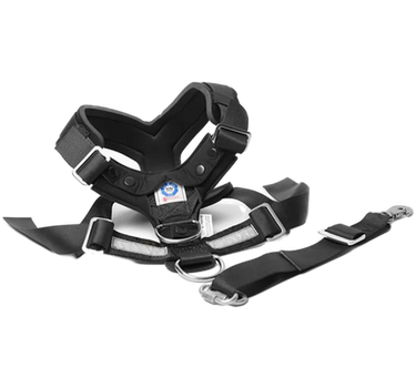 Allsafe Harness Bilsele – Trygg Bilsele for Hund